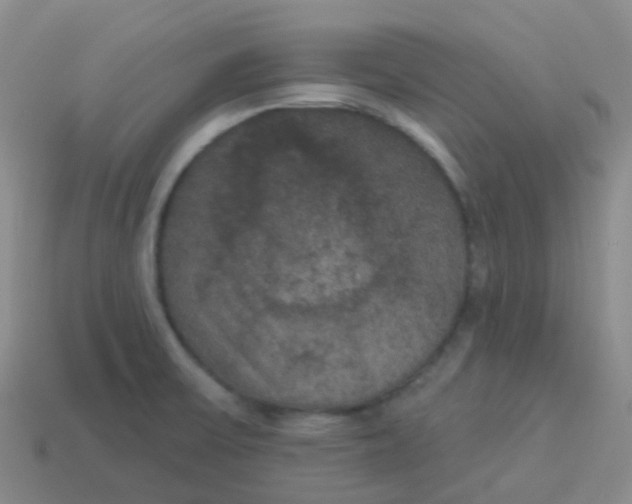 X0000113551475200910161423