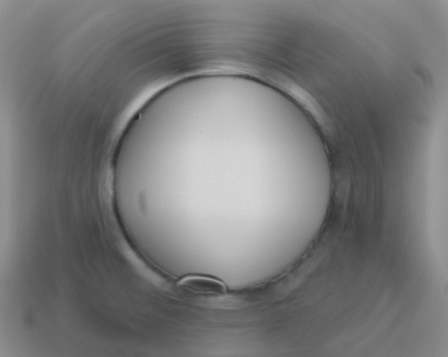 X0000113551476200910161423
