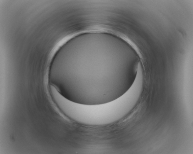 X0000113551477200910161423