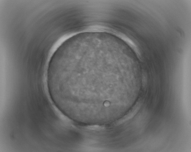 X0000113551478200910161423