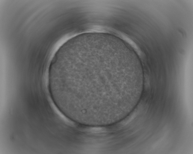 X0000113551479200910161423
