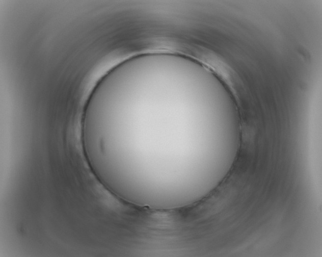 X0000113551480200910161423