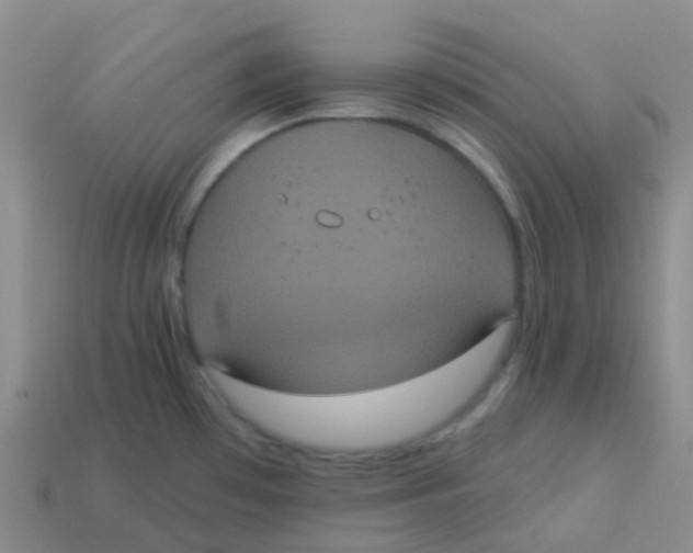 X0000113551481200910161423