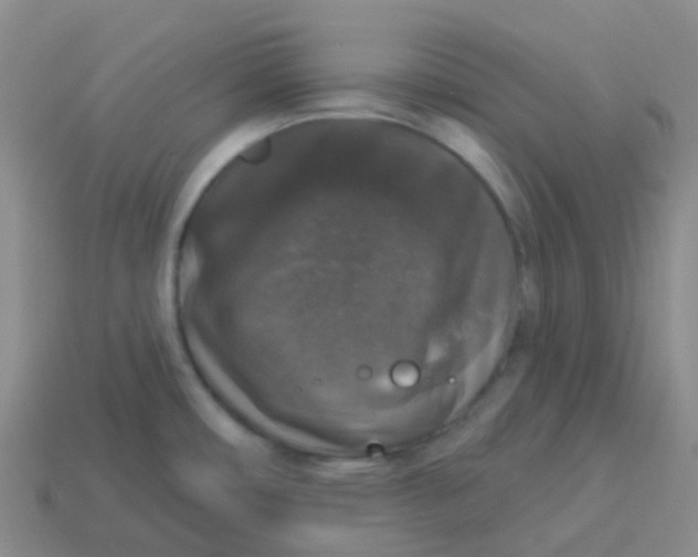 X0000113551482200910161423