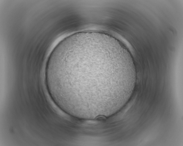 X0000113551483200910161423