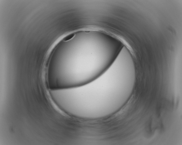 X0000113551484200910161423