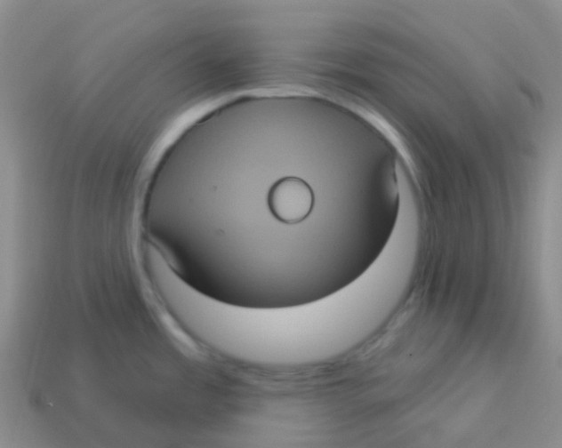 X0000113551485200910161423