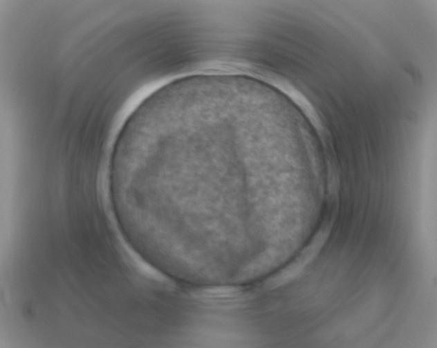 X0000113551486200910161423