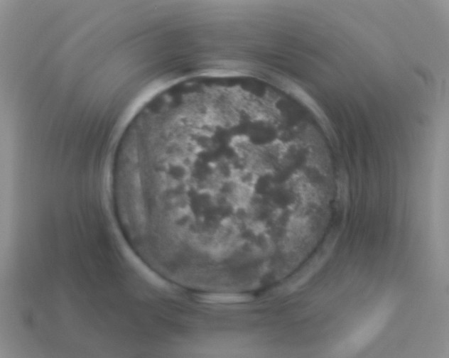 X0000113551487200910161423