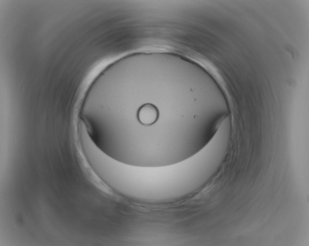 X0000113551488200910161423
