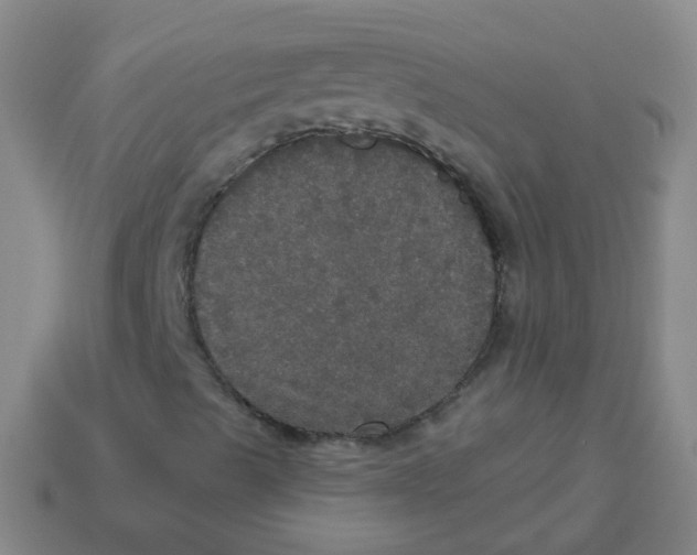 X0000113551489200910161422