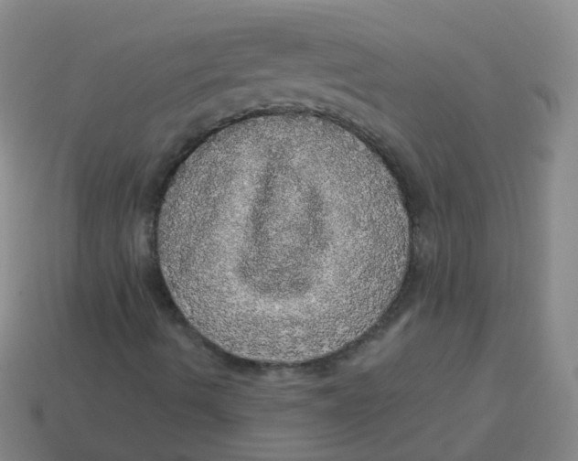X0000113551490200910161422