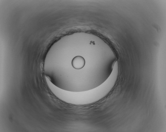 X0000113551492200910161422