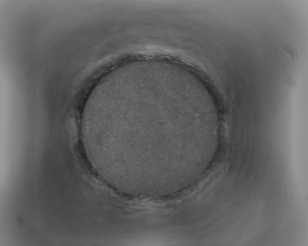X0000113551493200910161422