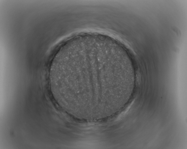 X0000113551494200910161422
