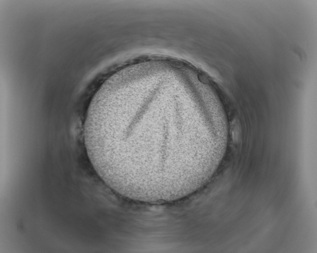 X0000113551495200910161422