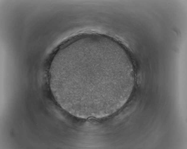 X0000113551496200910161422