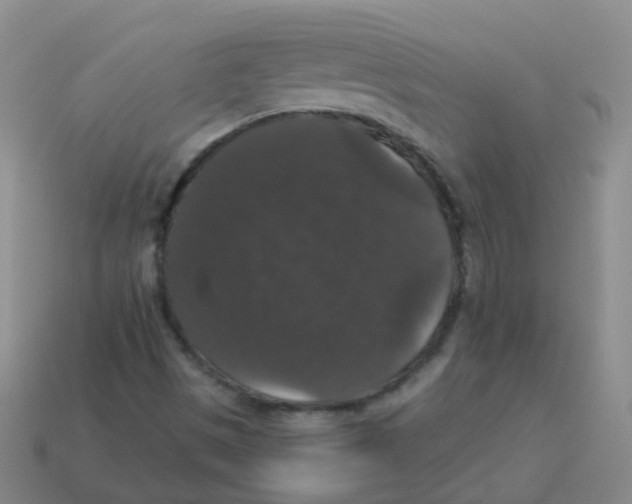 X0000113551497200910161422