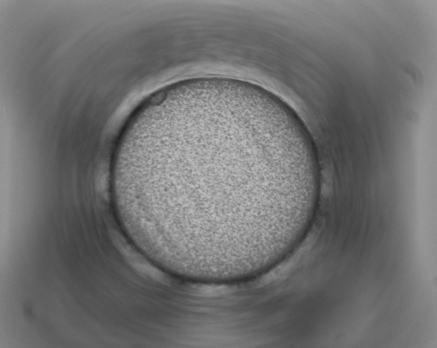 X0000113551499200910161422
