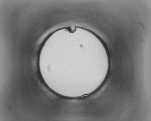 X0000113551502200910161422