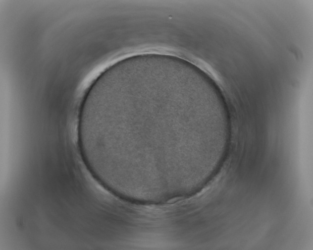 X0000113551504200910161422