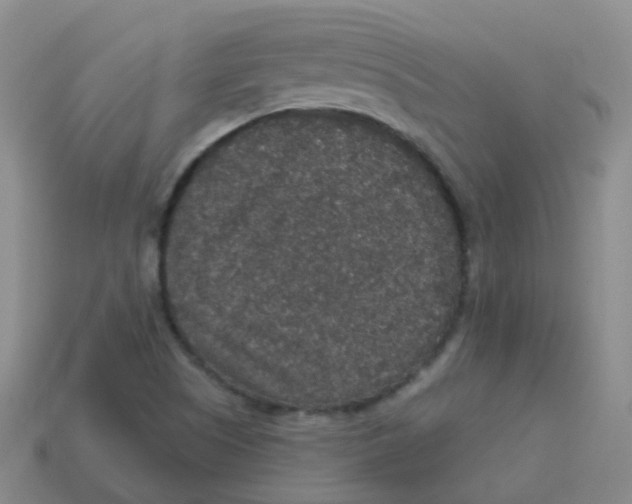 X0000113551505200910161422