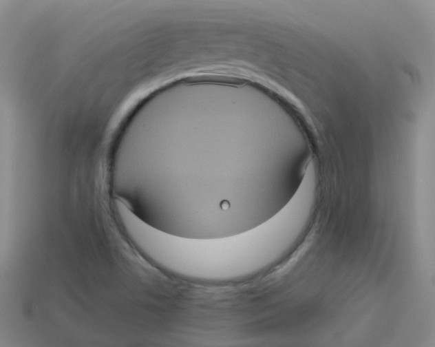 X0000113551506200910161422