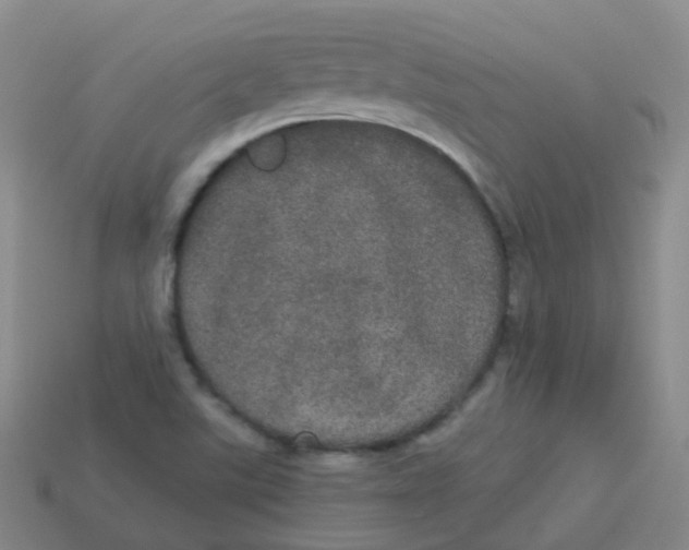 X0000113551507200910161422