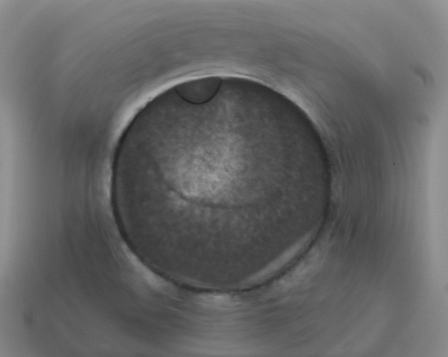X0000113551508200910161422