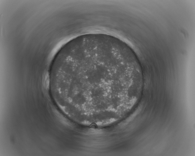 X0000113551509200910161422