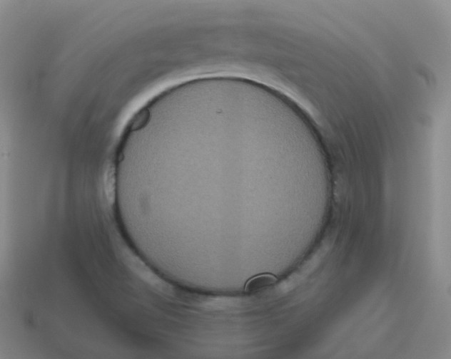 X0000113551510200910161422