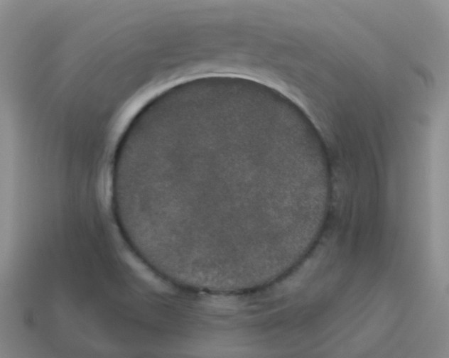 X0000113551511200910161422