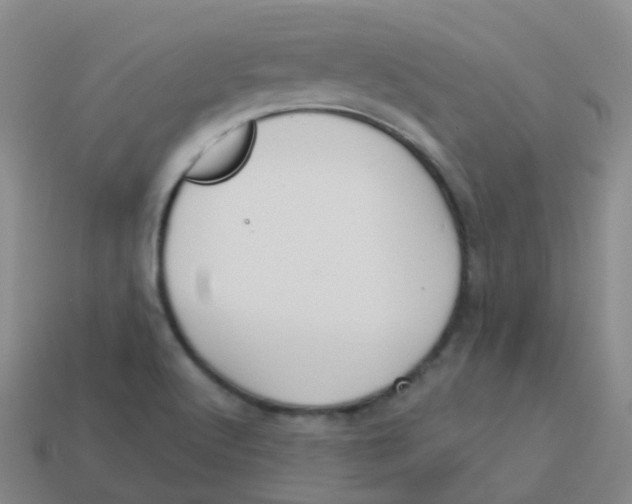 X0000113551512200910161422