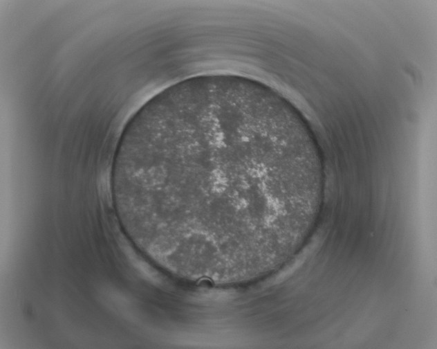 X0000113551513200910161422