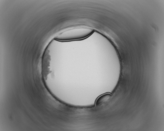 X0000113551516200910161422