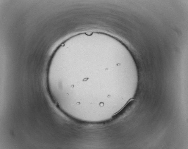 X0000113551518200910161422