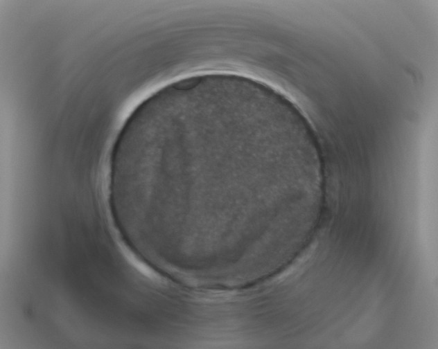 X0000113551519200910161423