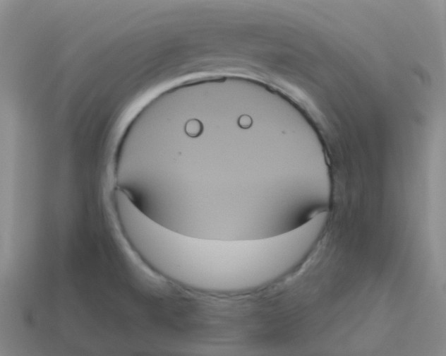 X0000113551520200910161423