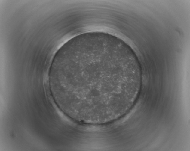 X0000113551521200910161423
