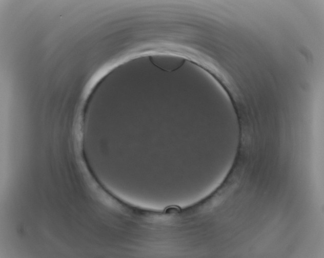 X0000113551522200910161423