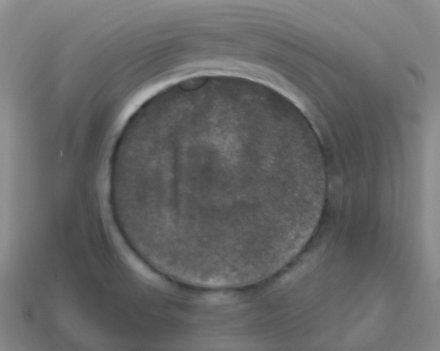 X0000113551523200910161423