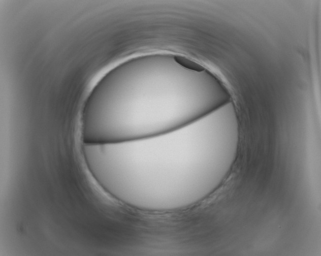 X0000113551524200910161423