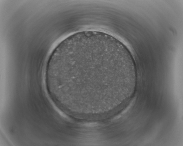 X0000113551525200910161423