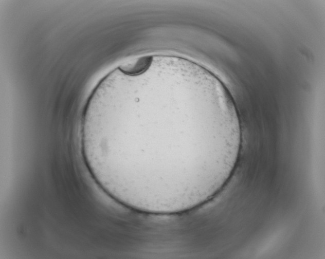 X0000113551526200910161423