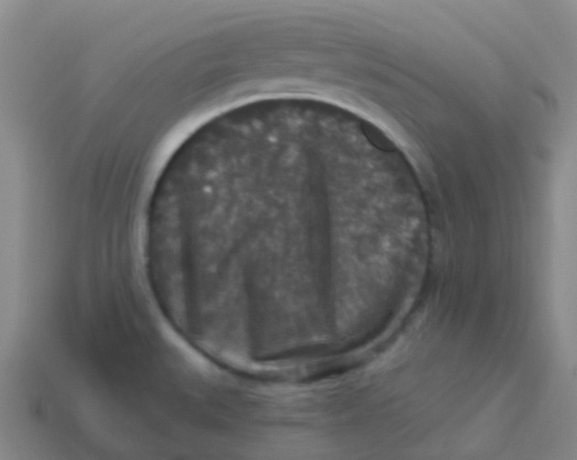 X0000113551527200910161423