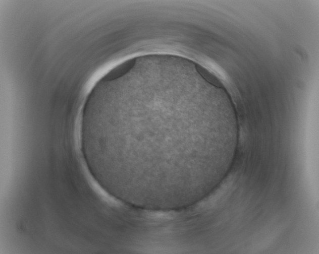 X0000113551528200910161423