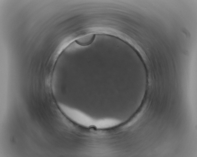 X0000113551529200910161423