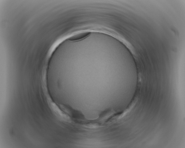 X0000113551530200910161423