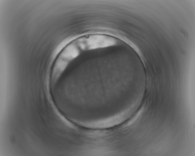 X0000113551533200910161423