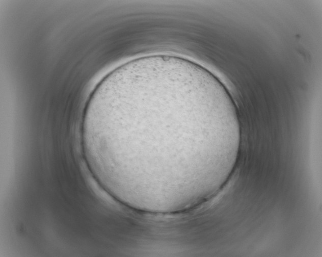 X0000113551534200910161423